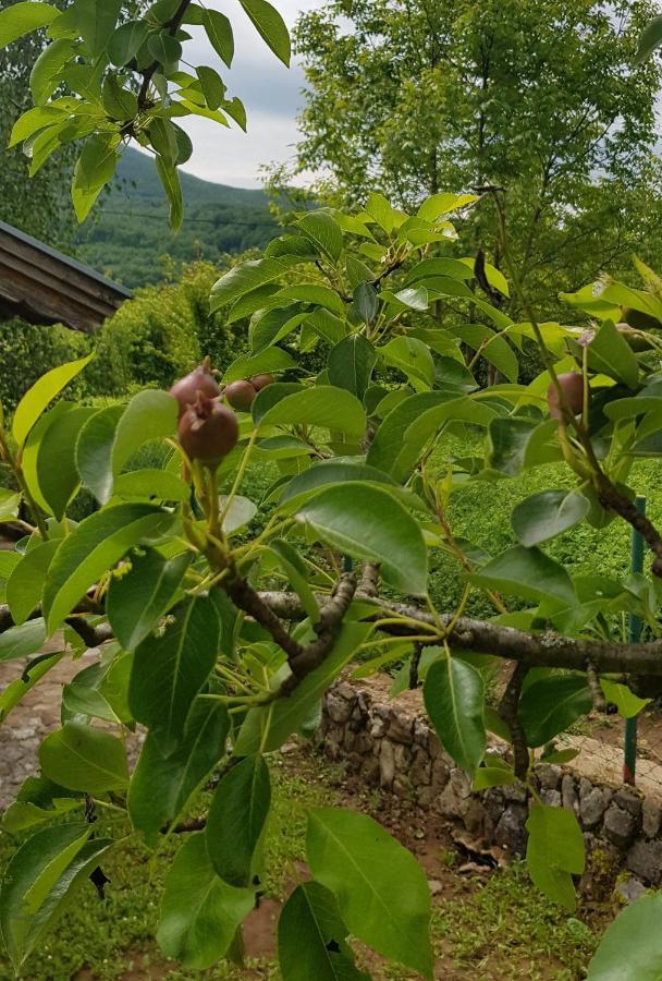 Country House Bihać Εξωτερικό φωτογραφία