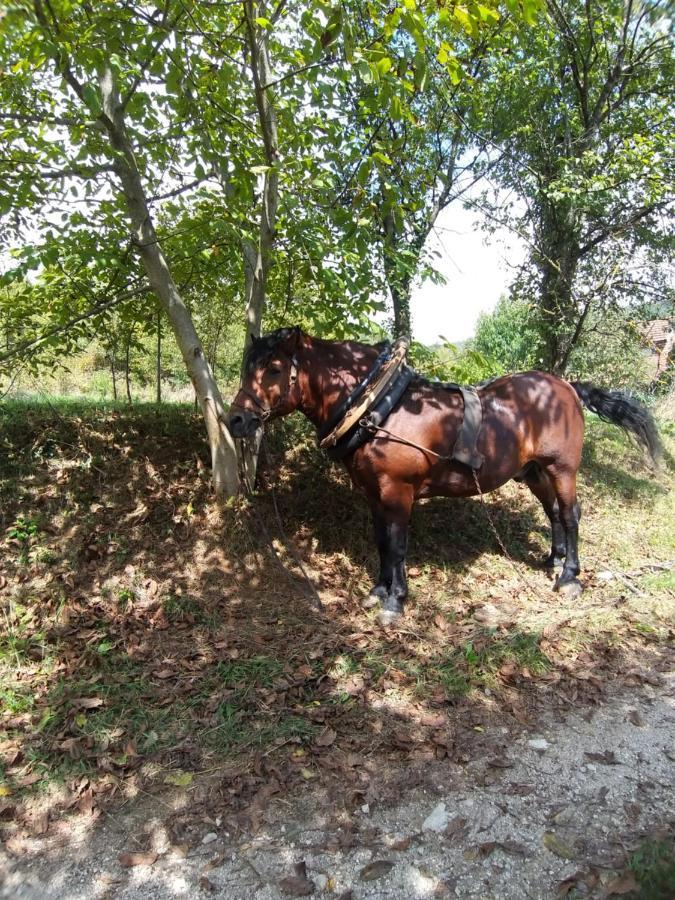 Country House Bihać Εξωτερικό φωτογραφία