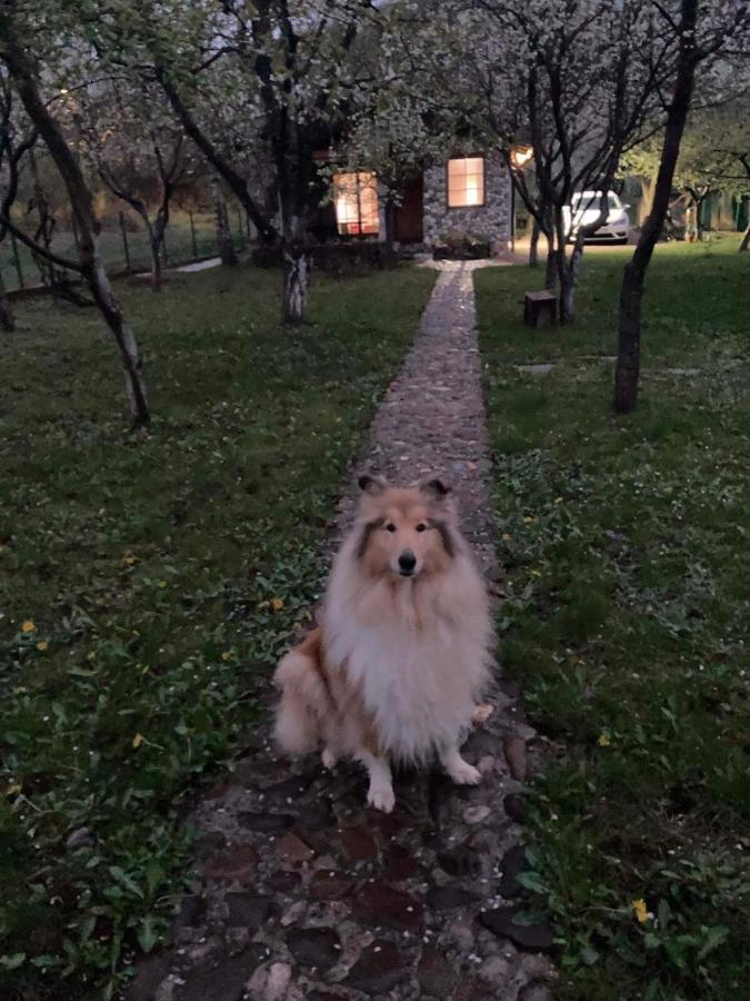 Country House Bihać Εξωτερικό φωτογραφία